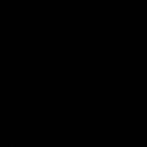 Meet your Posher, Grady